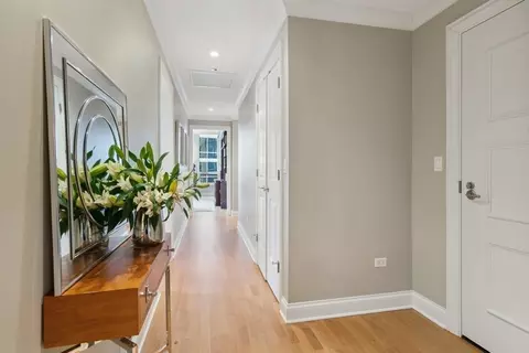10 E Delaware Pl #21D, Chicago, IL 60611 photo 4