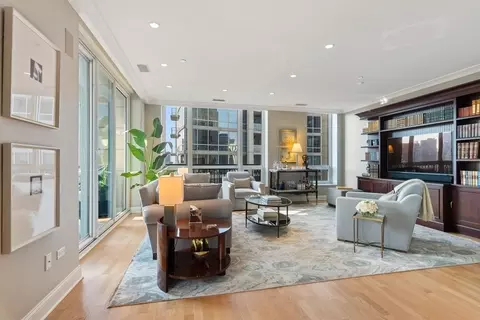 10 E Delaware Pl #21D, Chicago, IL 60611 photo 8