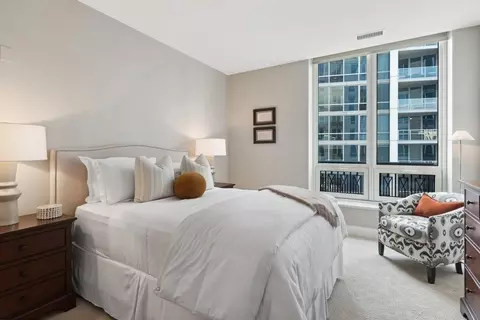10 E Delaware Pl #21D, Chicago, IL 60611 photo 24