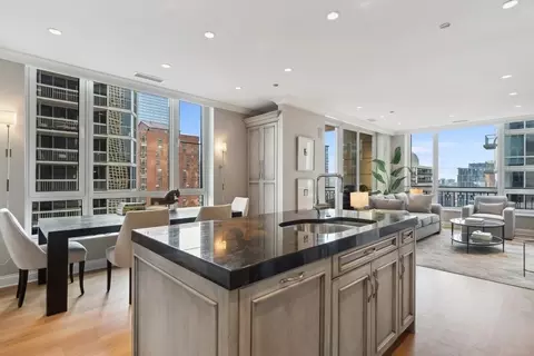 10 E Delaware Pl #21D, Chicago, IL 60611 photo 10