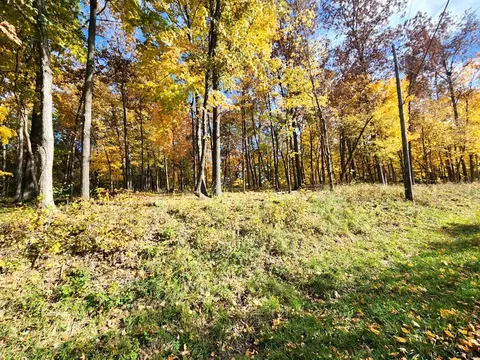 64 Lake Wildwood Drive # 1362, Varna, IL 61375