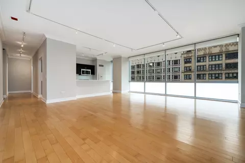8 E Randolph St #1005, Chicago, IL 60601 photo 6