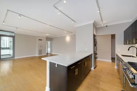 8 E Randolph St #1005, Chicago, IL 60601 photo 10