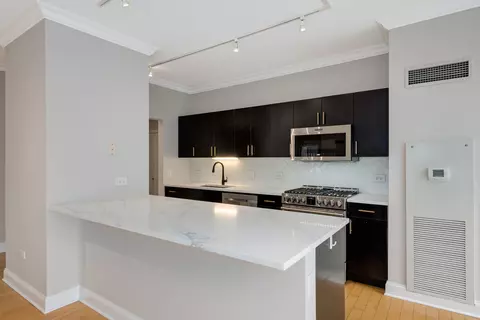 8 E Randolph St #1005, Chicago, IL 60601 photo 8