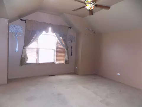 16331 Celtic Cir, Manhattan, IL 60442 photo 18