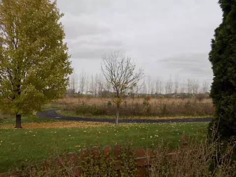 16331 Celtic Cir, Manhattan, IL 60442 photo 51