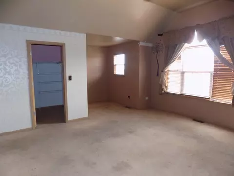 16331 Celtic Cir, Manhattan, IL 60442 photo 20