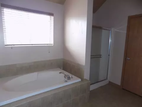 16331 Celtic Cir, Manhattan, IL 60442 photo 24