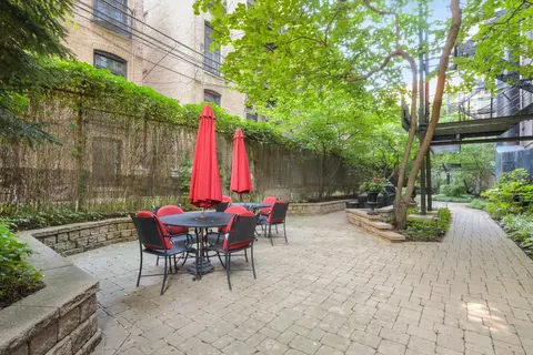 20 E Cedar St #2F, Chicago, IL 60611 photo 30