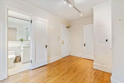 20 E Cedar St #2F, Chicago, IL 60611 photo 12