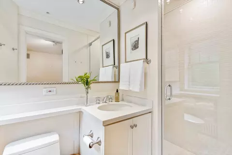 20 E Cedar St #2F, Chicago, IL 60611 photo 10