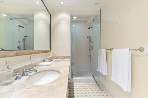 20 E Cedar St #2F, Chicago, IL 60611 photo 21