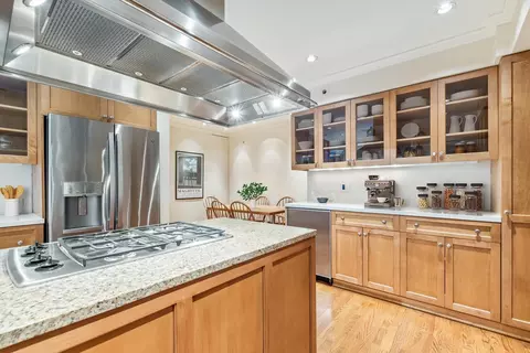 20 E Cedar St #2F, Chicago, IL 60611 photo 9