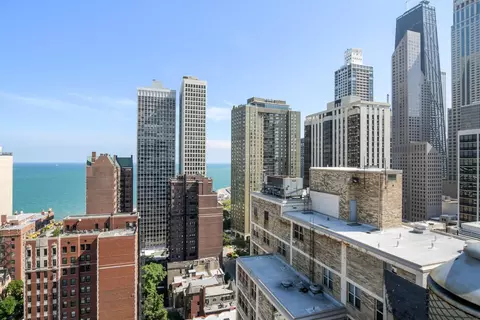20 E Cedar St #2F, Chicago, IL 60611 photo 27