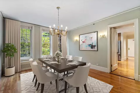 20 E Cedar St #2F, Chicago, IL 60611 photo 5