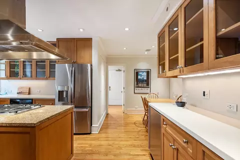 20 E Cedar St #2F, Chicago, IL 60611 photo 7