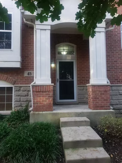 45 Grace Ct #45, Lemont, IL 60439
