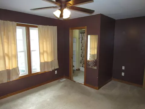 169 E 2nd St, Braidwood, IL 60408 photo 8