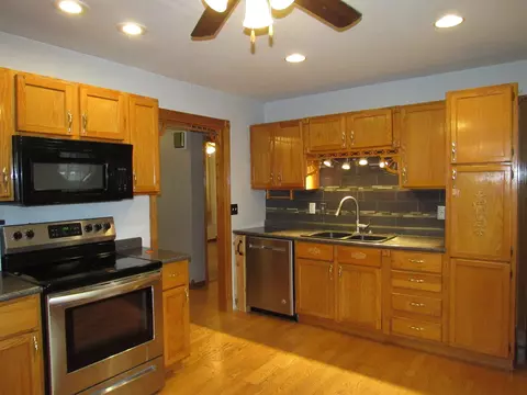 169 E 2nd St, Braidwood, IL 60408 photo 4