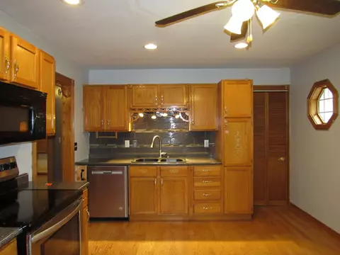 169 E 2nd St, Braidwood, IL 60408 photo 5