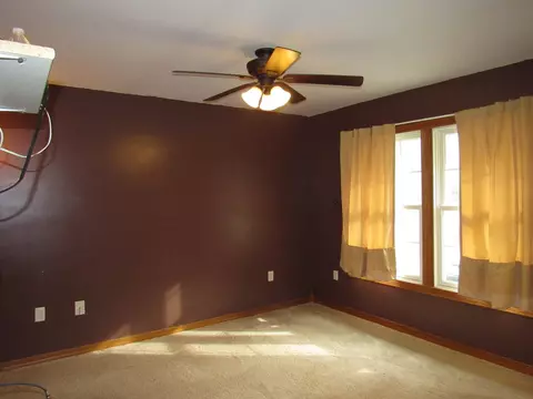 169 E 2nd St, Braidwood, IL 60408 photo 9