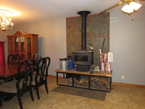 169 E 2nd St, Braidwood, IL 60408 photo 7