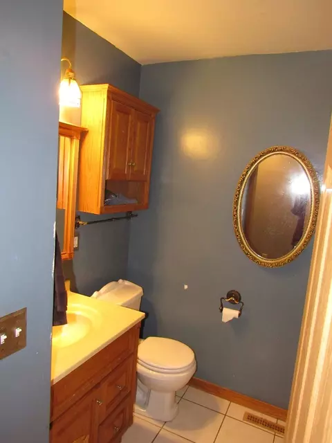 169 E 2nd St, Braidwood, IL 60408 photo 13