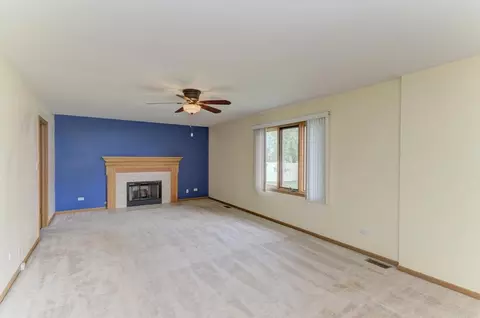 704 Feeney Dr, Minooka, IL 60447 photo 14