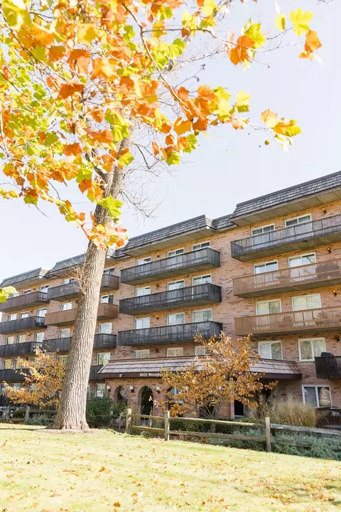 8025 Woodglen Ln #205, Downers Grove, IL 60516