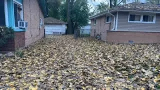 3031 Stafford Dr, Markham, IL 60428 photo 20