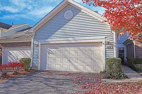 229 Spring Creek Cir, Schaumburg, IL 60173