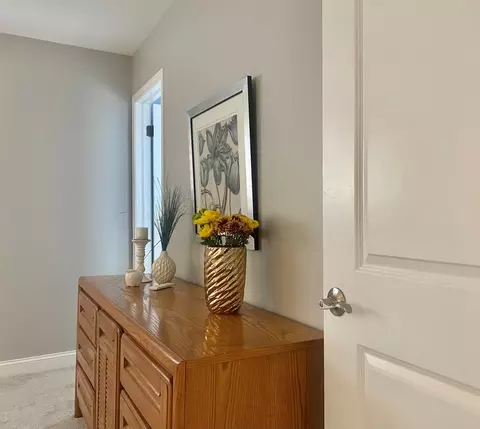 969 Hollywood Ave, Des Plaines, IL 60016 photo 30