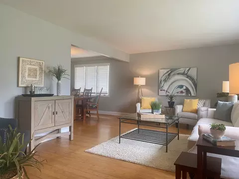 969 Hollywood Ave, Des Plaines, IL 60016 photo 12