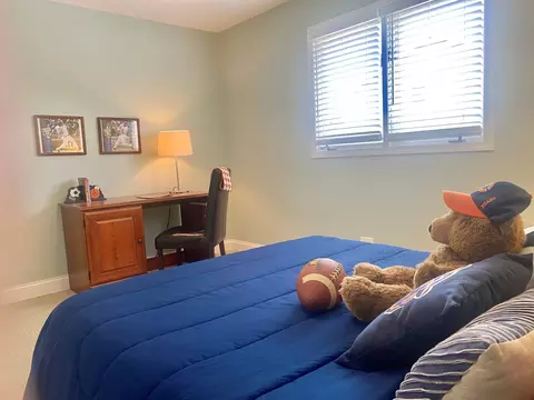 969 Hollywood Ave, Des Plaines, IL 60016 photo 35