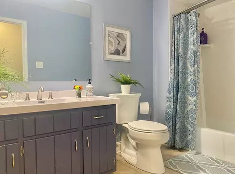 969 Hollywood Ave, Des Plaines, IL 60016 photo 20