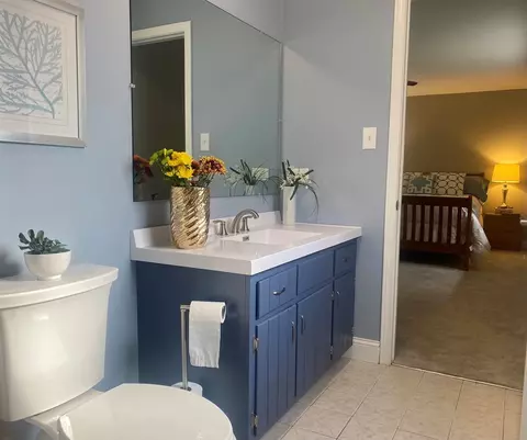 969 Hollywood Ave, Des Plaines, IL 60016 photo 27