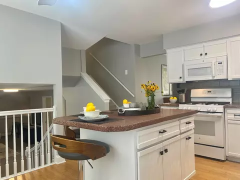 969 Hollywood Ave, Des Plaines, IL 60016 photo 17