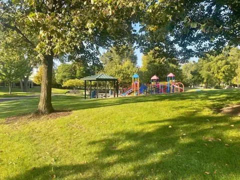 969 Hollywood Ave, Des Plaines, IL 60016 photo 48