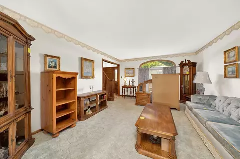 2863 E Poplar Ln, Crete, IL 60417 photo 4