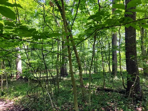 1658 Jasper Court, Varna, IL 61375