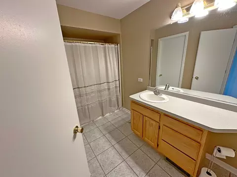 101 Lake Hill Dr, Steger, IL 60475 photo 11