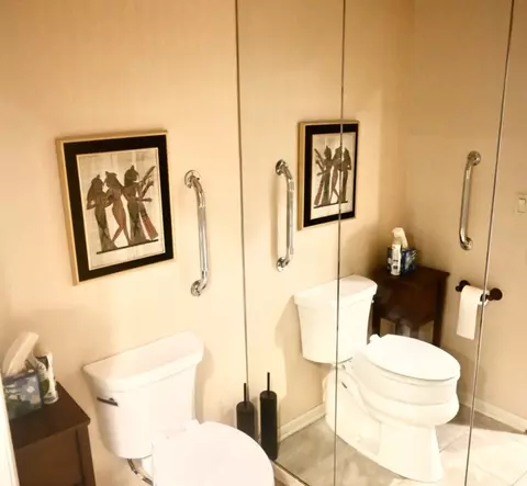 Bath - 42 Graymoor Ln, Olympia Fields, IL 60461 photo 3 of 7