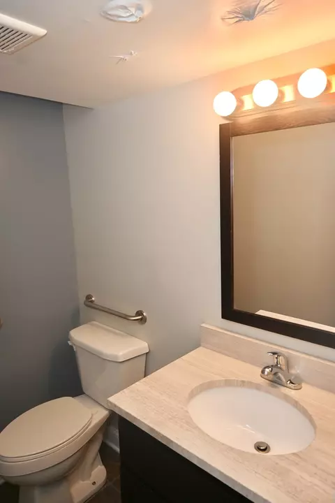 Bath - 42 Graymoor Ln, Olympia Fields, IL 60461 photo 5 of 7