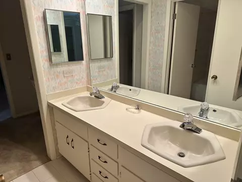 Bath - 42 Graymoor Ln, Olympia Fields, IL 60461 photo 6 of 7