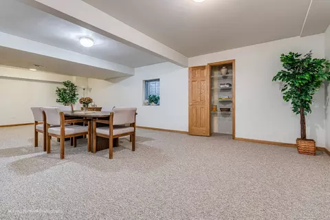 1909 Eagle Dr, Morris, IL 60450 photo 23