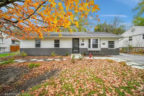 141 E Maple Dr, Glenwood, IL 60425