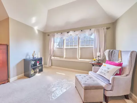 25713 W Sunnymere Dr, Plainfield, IL 60585 photo 19