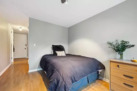 1 E Scott St #408, Chicago, IL 60610 photo 5