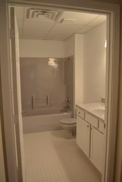 25922 S Chestnut Rd, Monee, IL 60449 photo 8