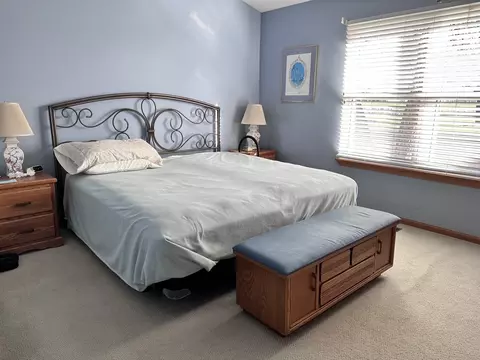 21356 W Sycamore Dr, Plainfield, IL 60544 photo 9